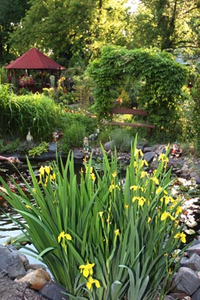  Zahradnictví s jezírkem a irisy 